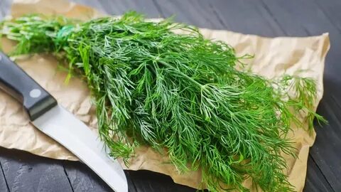 تصویر 4 از قیمت خرید سبزی شوید خشک سرگل با فروش عمده
